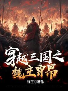 穿越三国曹魏的