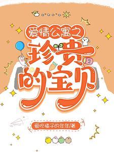爱情公寓女主角诺澜