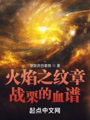 火焰纹章委任战斗