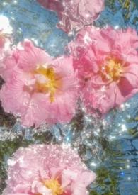 涉江采芙蓉运用了什么手法