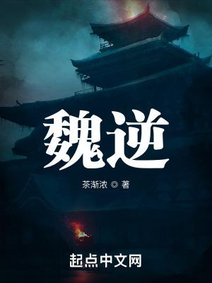 魏逆小识