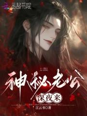 神秘老公深夜来完本