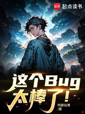 这就是个bug是什么意思