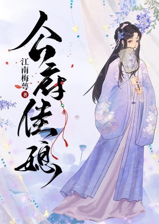 公府佳媳书评